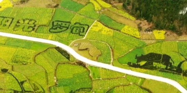 土地的涅槃｜全域土地綜合整治為何爆火？設(shè)計(jì)院如何搶占風(fēng)口？